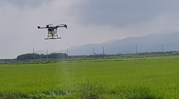 강화군, 벼 병해충 방제 철저 당부