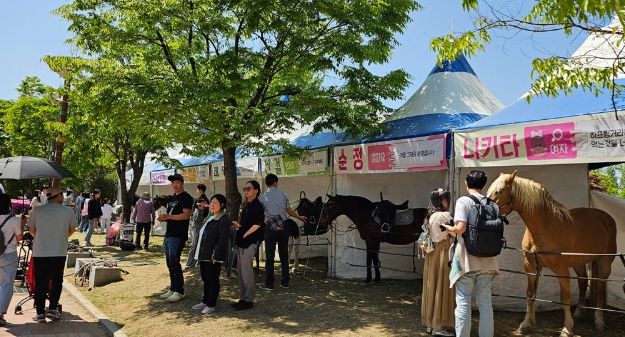 함안군 승마공원, 2025년 함안군민의 날 승마체험 행사‘인기’