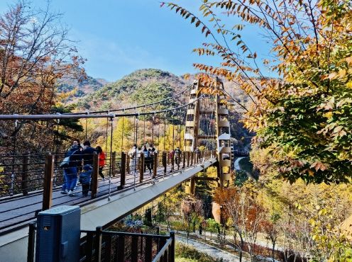 충북도, 산림휴양·복지시설에 295억원 투입