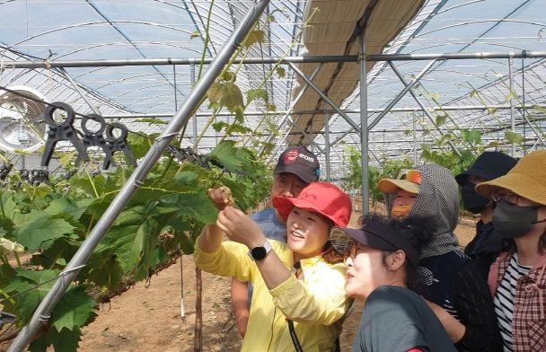 농업인을 위한 도시 구미! 3년차‘도농상생 프로젝트’성공