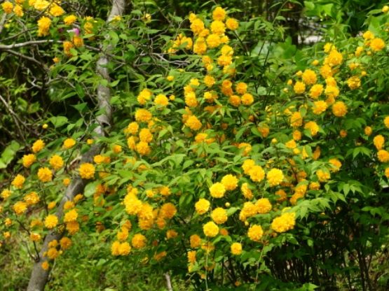 인플루언서 마케팅으로 제주수출 활로 뚫는다