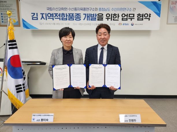 충남 맞춤형 ‘김’ 품종 찾는다