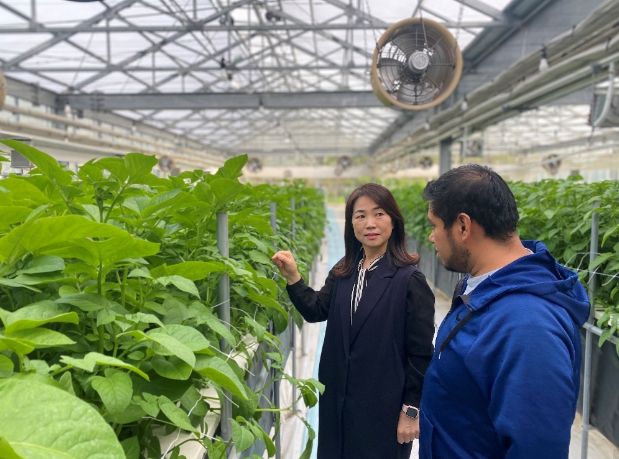 과테말라에씨감자생산기술전수