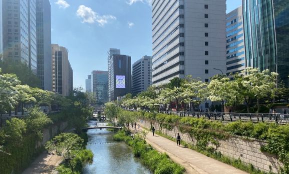 서울특별시 종로구 관철동 청계천 이팝나무길