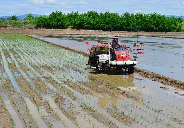 적기 모내기! 맛있는 쌀 생산을 위한 첫걸음!