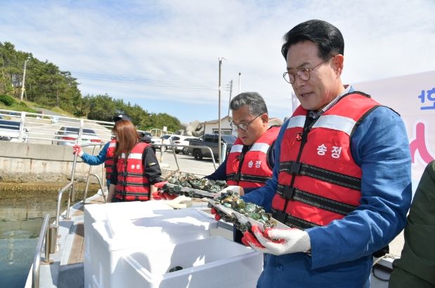 울주군, 마을어장 8곳에 전복 33만마리 방류
