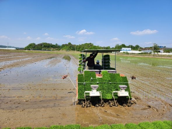 충북도, 풍년농사를 기원하며 모내기 마무리 박차!