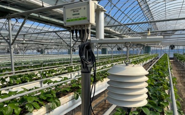 전라남도 나주시(시장 윤병태)는 지속가능한 농촌발전과 농업 생산성 향상을 위해 올해 시범 추진하는 ‘2025년도 농촌진흥사업’ 신청을 2월 10일까지 받는다.