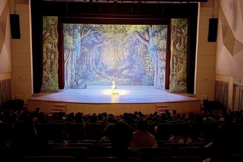 강진아트홀을 찾은 관광객들이 공연을 즐기고 있다.