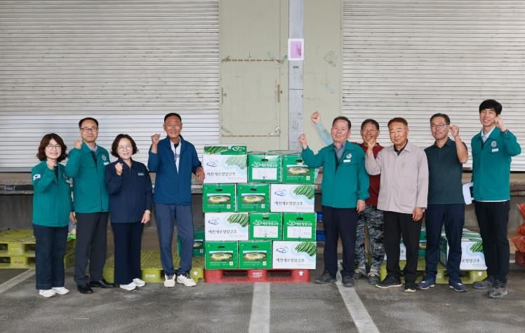 개포풋고추 첫출하(농업기술센터)