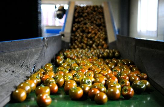 화천군이 지역 농업인을 위해 화천산 농산물 물류비와 직거래 택배비를 지원한다. 사진은 출하 중인 화천산 농산물
