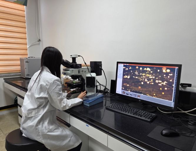 김 채묘 상담실