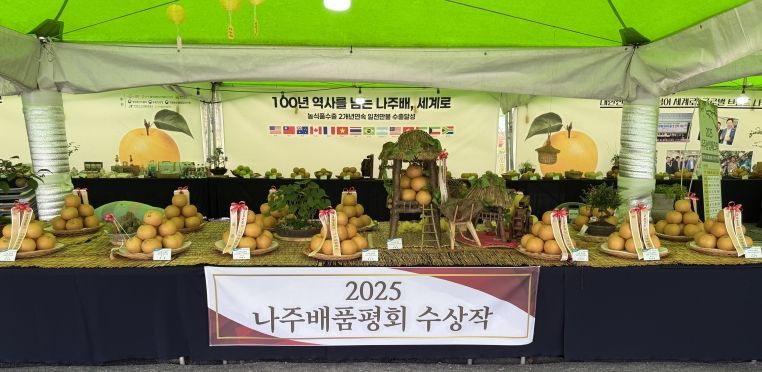 ‘나주농업페스타’ 현장에서 ‘나주배 품평회’ 수상작을 전시 부스를 통해 방문객들에게 선보이고 있다.