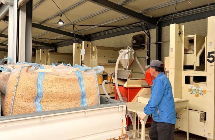 순창군, 콩 자동화 선별장 10월 20일부터 본격 운영