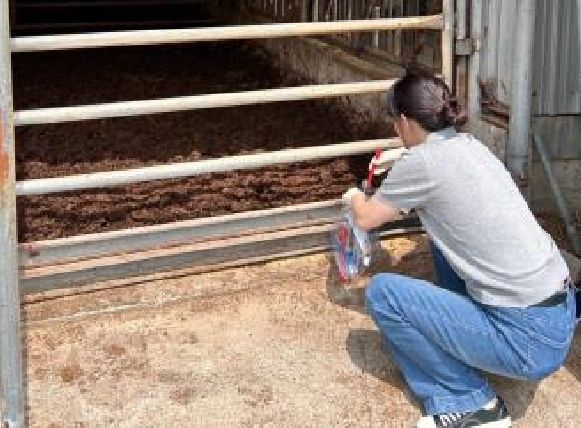 축제장·축사 ‘고위험병원체’ 미검출