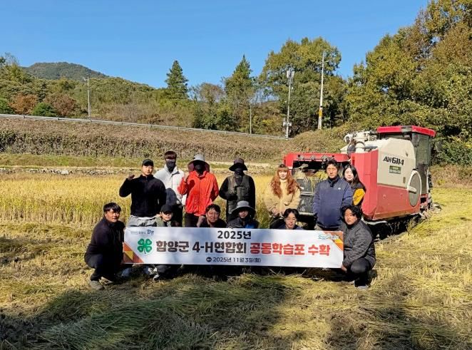 함양군 4-H연합회, 공동학습포 가루쌀 수확