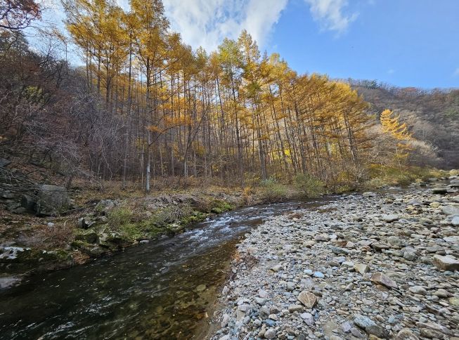육송정 삼거리 물놀이장 전경