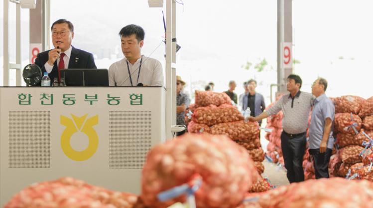 합천군, 산지공판장 경매 수수료 지원으로 농가 부담 완화