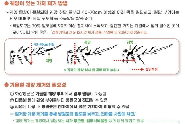 과수화상병 의심궤양 예찰 사진