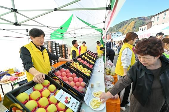 정선군, 농식품부 과수분야 연차평가 강원도 유일 인센티브 확보 정선사과 축제(2025)