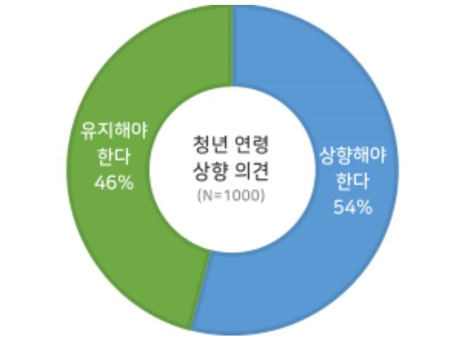 청년 연령 기준 상향 의견