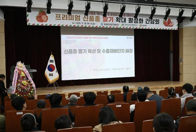 프리미엄 신품종 총집결...홍성, 차세대 딸기산업 날개 달다!