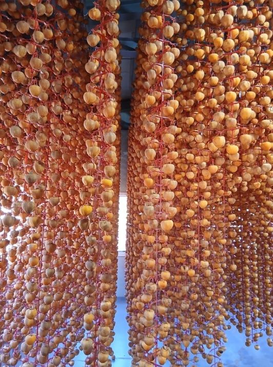 순천시, 고소득 전략작목 7대 품목 집중 육성