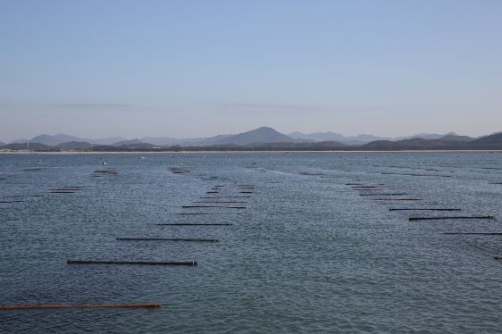‘충남 김’ 수출액 역대 최고