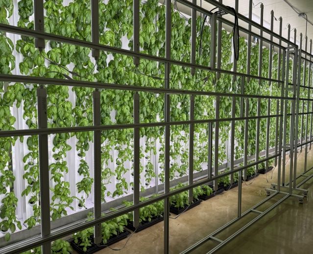 스마트팜 ‘대전팜’ 확대