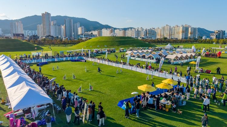 지난해 10월 오천그린광장에서 열린 ‘2025년 반려동물 문화한마당 행사'